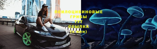 дурь Мегион