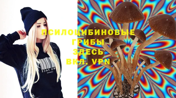 мяу мяу кристалл Медвежьегорск