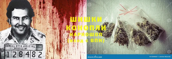 дурь Мегион