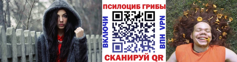 Псилоцибиновые грибы Cubensis  Новое Девяткино 